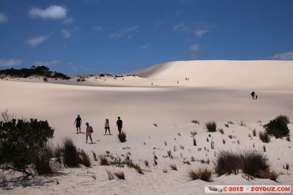 Kangaroo Island - Little Sahara
Mots-clés: AUS Australie geo:lat=-35.95039784 geo:lon=137.24412578 geotagged Seddon South Australia Kangaroo Island Little Sahara