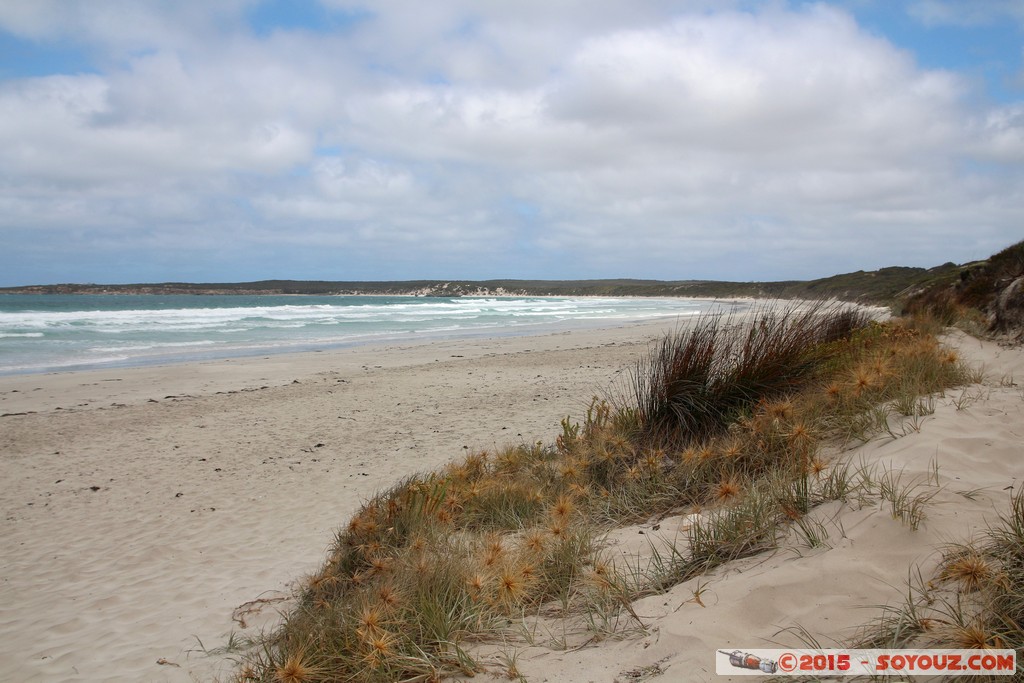 Kangaroo Island - Vivonne Bay
Mots-clés: AUS Australie geo:lat=-35.98000058 geo:lon=137.18552758 geotagged Seddon South Australia Vivonne Bay Kangaroo Island plage mer