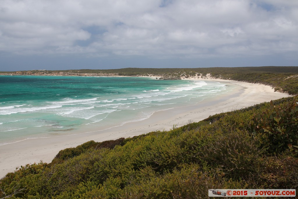 Kangaroo Island - Vivonne Bay
Mots-clés: AUS Australie geo:lat=-35.98299534 geo:lon=137.18087841 geotagged Seddon South Australia Vivonne Bay Kangaroo Island plage mer