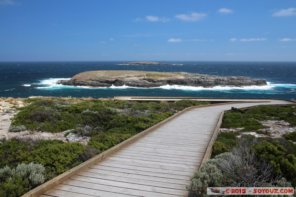 Kangaroo Island - Admirals Arch
Mots-clés: AUS Australie geo:lat=-36.06225518 geo:lon=136.70418345 geotagged State of South Australia South Australia Kangaroo Island Admirals Arch Flinders Chase National Park mer