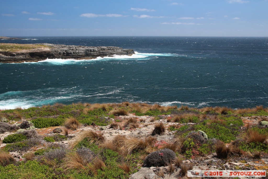 Kangaroo Island - Admirals Arch
Mots-clés: AUS Australie geo:lat=-36.06300069 geo:lon=136.70446538 geotagged State of South Australia South Australia Kangaroo Island Admirals Arch Flinders Chase National Park mer