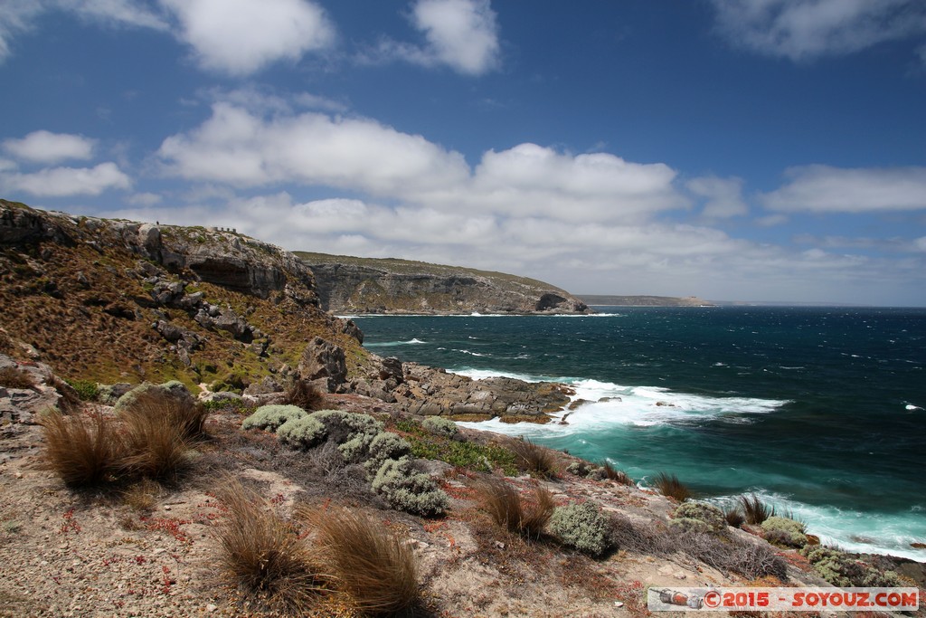 Kangaroo Island - Admirals Arch
Mots-clés: AUS Australie geo:lat=-36.06353467 geo:lon=136.70499333 geotagged State of South Australia South Australia Kangaroo Island Admirals Arch Flinders Chase National Park mer