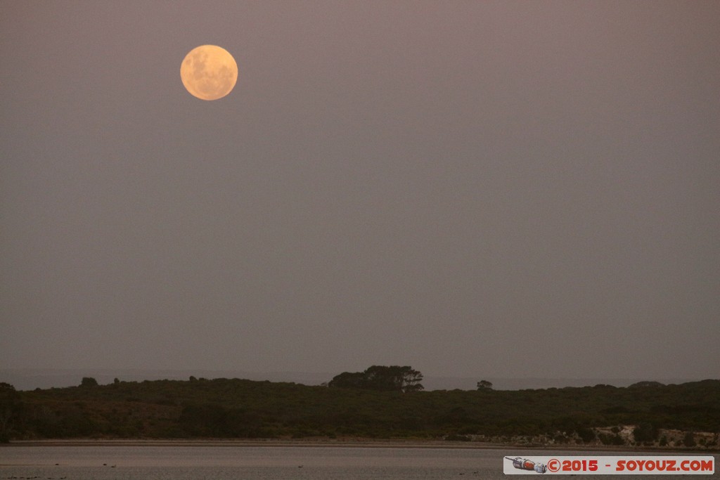 Kangaroo Island - Pelican Lagoon - Dusk and moon
Mots-clés: AUS Australie Ballast Head geo:lat=-35.81397500 geo:lon=137.74344500 geotagged Muston South Australia Kangaroo Island Pelican Lagoon Lune