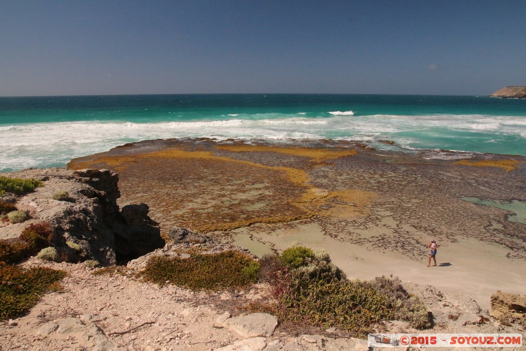 Kangaroo Island - Pennington Bay
Mots-clés: AUS Australie geo:lat=-35.85226156 geo:lon=137.74755344 geotagged Muston Salt Lake South Australia Kangaroo Island Pennington Bay mer plage