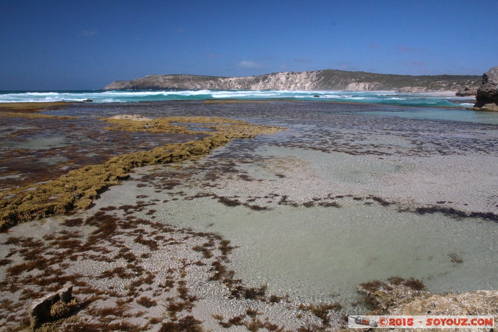 Kangaroo Island - Pennington Bay
Mots-clés: AUS Australie geo:lat=-35.85248829 geo:lon=137.74757314 geotagged Muston Salt Lake South Australia Kangaroo Island Pennington Bay mer plage