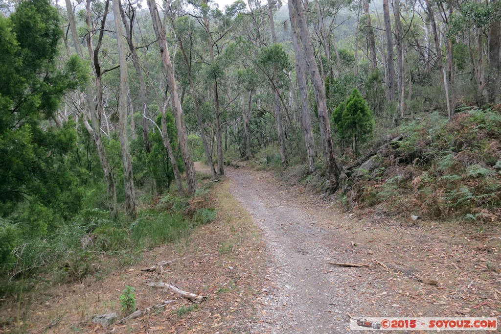 Cleland Conservation Park
Mots-clés: AUS Australie geo:lat=-34.96615800 geo:lon=138.70299467 geotagged Greenhill South Australia Cleland Conservation Park Parc Arbres