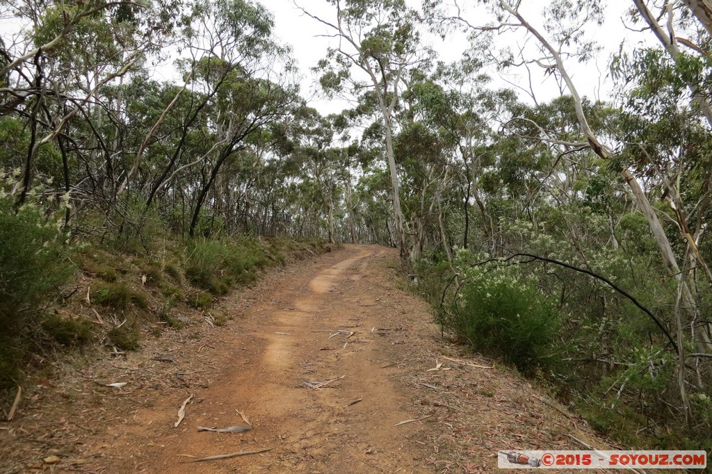 Cleland Conservation Park
Mots-clés: AUS Australie geo:lat=-34.96285867 geo:lon=138.69890000 geotagged Greenhill South Australia Cleland Conservation Park Parc Arbres